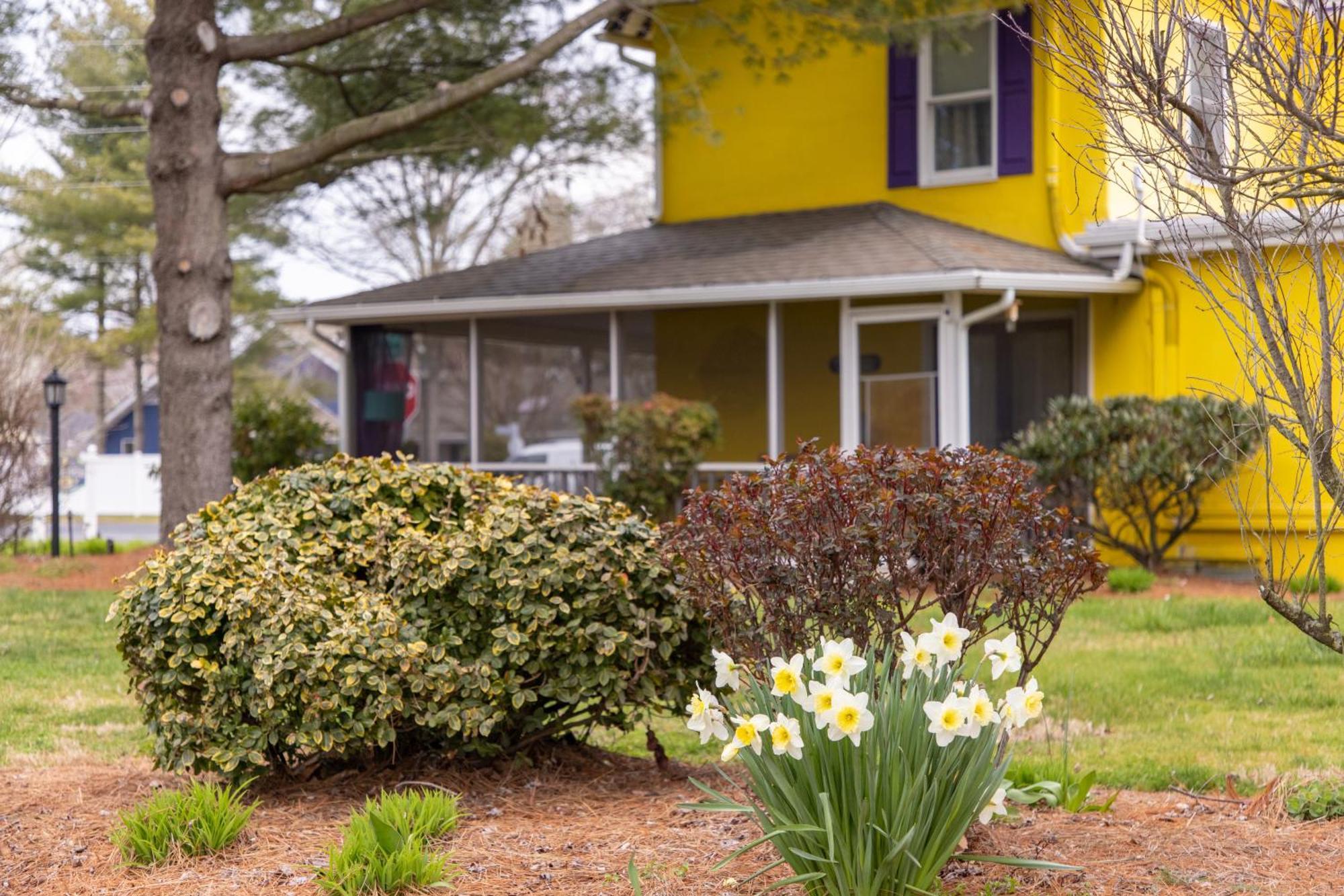 The Homestead B&B Rehoboth Beach Exteriér fotografie